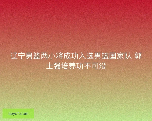 辽宁男篮两小将成功入选男篮国家队 郭士强培养功不可没