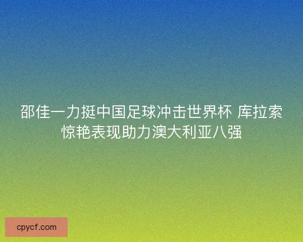 邵佳一力挺中国足球冲击世界杯 库拉索惊艳表现助力澳大利亚八强