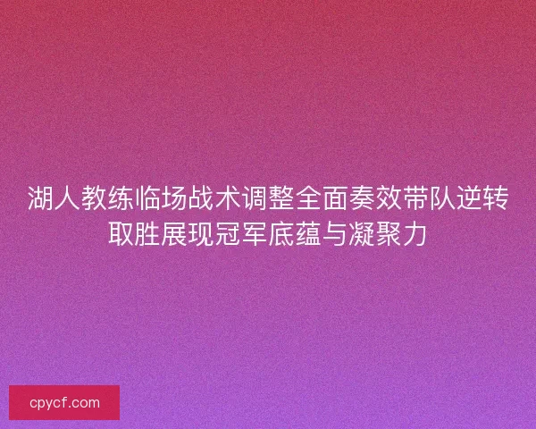 湖人教练临场战术调整全面奏效带队逆转取胜展现冠军底蕴与凝聚力