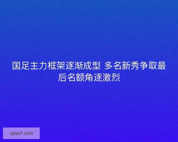 国足主力框架逐渐成型 多名新秀争取最后名额角逐激烈