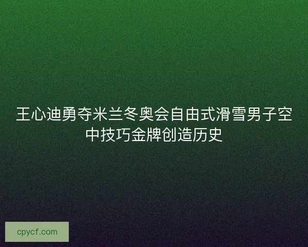 王心迪勇夺米兰冬奥会自由式滑雪男子空中技巧金牌创造历史