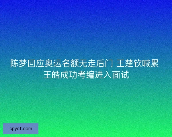 陈梦回应奥运名额无走后门 王楚钦喊累 王皓成功考编进入面试